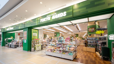 アロベビー イオン